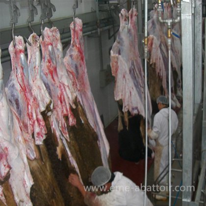 牛肉屠殺機械 牛の死体処理 自動搬送レール 牛の屠殺場設備