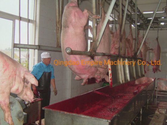 用于生猪屠宰场的高质量采血槽屠宰机屠宰场设备
