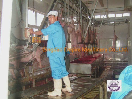 用于生猪屠宰场的高质量采血槽屠宰机屠宰场设备