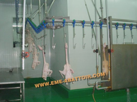 鸡屠体清洗装置 屠宰场屠宰设备