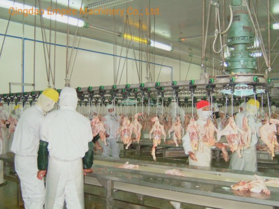 鸡屠体清洗装置 屠宰场屠宰设备