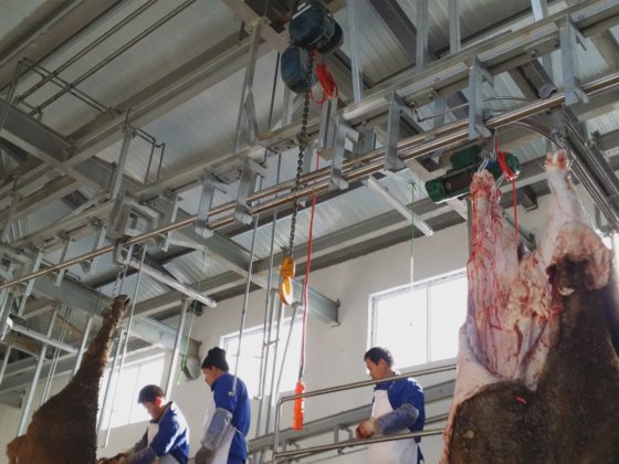 牛の屠殺機、牛肉の垂直ホイスト、高品質の供給者、エメ生産