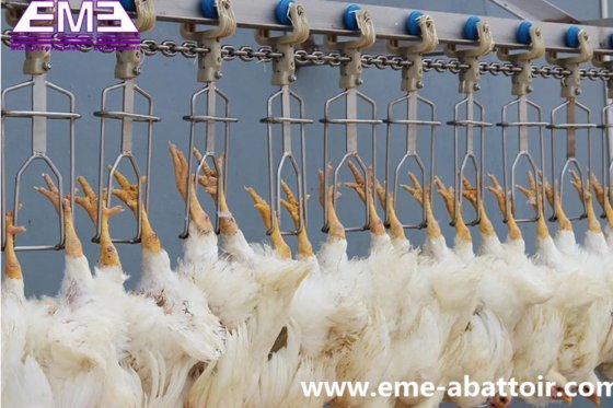 鶏羽毛抜き機 鴨 ガチョウ 殺処理機器 小中規模の家禽屠殺場で使用される