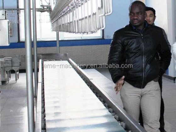 Máquina de Escaldar e Plumar