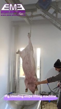 豚の屠殺ライン完全設備食肉処理場用豚屠殺ライン屠殺設備