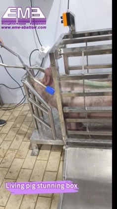 豚の屠殺ライン完全設備食肉処理場用豚屠殺ライン屠殺設備