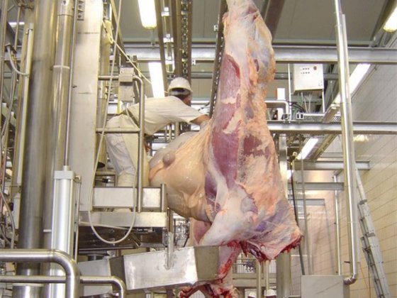 牛スタンナーマシンヘッド修理タイプ家畜空気圧殺処理ボックス屠殺機器