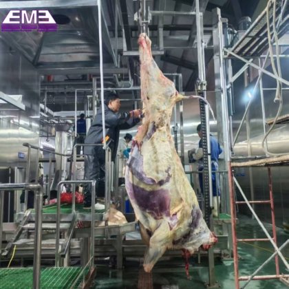 羊只屠宰场设备 羊肉加工机