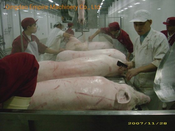 豚殺し自動搬送テーブル屠殺機器肉加工機械