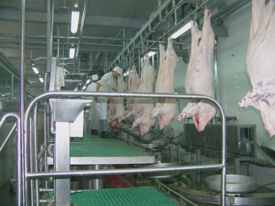 良質な工場価格の豚の胴体横分割鋸、豚の屠殺場設備、食肉処理機械