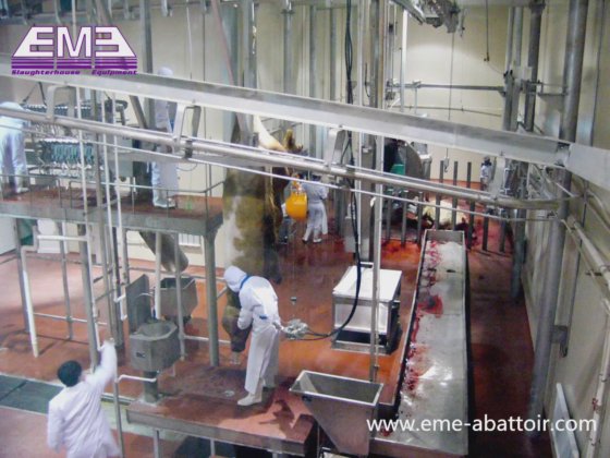 Eme 交钥匙工程 牛屠宰场设备 清真屠宰加工屠宰场设备 用于牛肉加工厂的屠宰设备