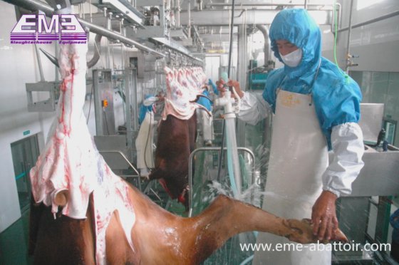Eme 交钥匙工程 牛屠宰场设备 清真屠宰加工屠宰场设备 用于牛肉加工厂的屠宰设备