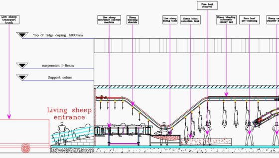 每天屠宰 1500 头羊的设备 山羊屠宰场机械气动拉皮机