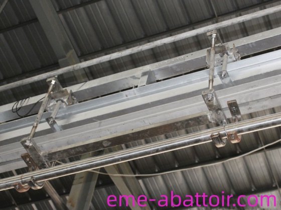 最大重量 600 公斤 用于牛羊猪的轨道重量屠宰场设备