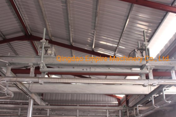 最大重量 600 公斤 用于牛羊猪的轨道重量屠宰场设备