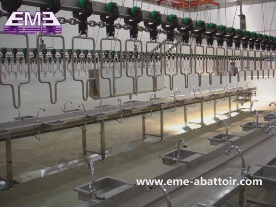 家禽设备 肉类加工机 家禽内脏收集槽设备 鸡鸭鹅生产线 价格最优的屠宰设备