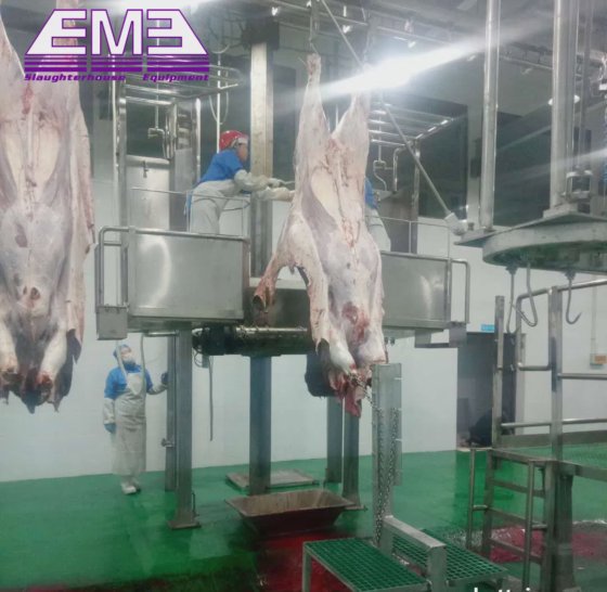 牛 羊 豚 食肉処理場 設備