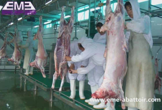 羊の屠殺処理プラットフォーム、ヤギ、子羊、家畜、食肉処理場、機械