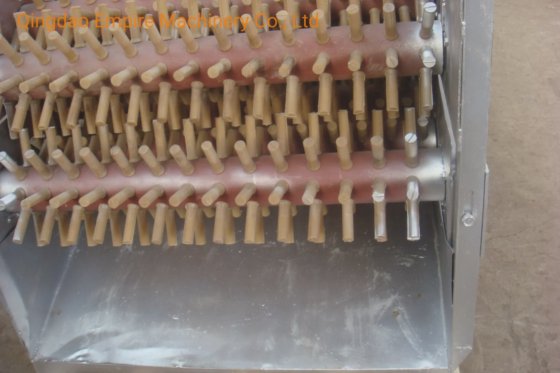 Machine à plumer de type