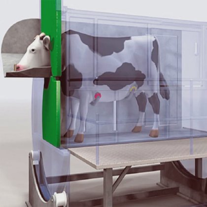 生きた牛のスタンニング機械 牛の屠殺設備