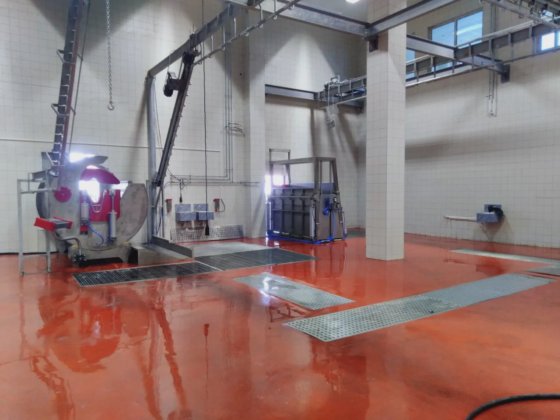 生きた牛のスタンニング機械 牛の屠殺設備