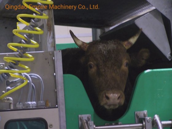 用于屠宰场的清真杀牛机屠宰设备
