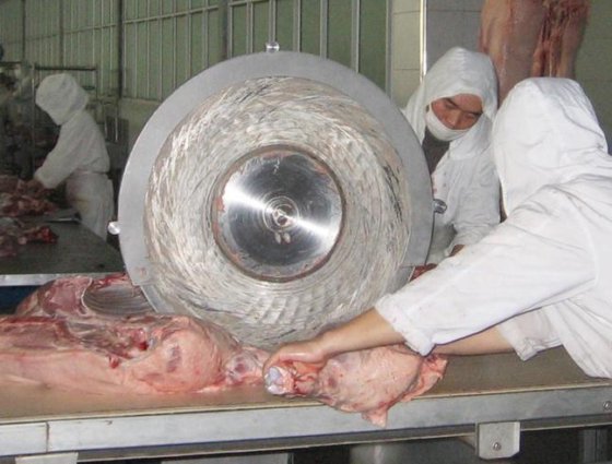 用于屠宰的自动不锈钢切肉锯 猪屠宰场设备