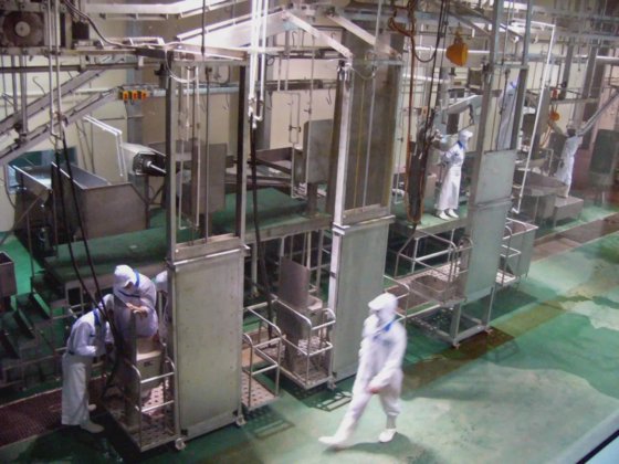 牛屠宰场屠宰设备操作胴体处理牛肉加工机械升降机