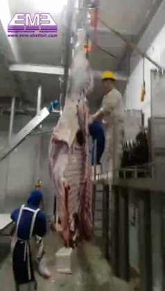 用于清真牛屠宰线的全套屠宰设备 牛肉加工屠宰场机械 奶牛屠宰场设计