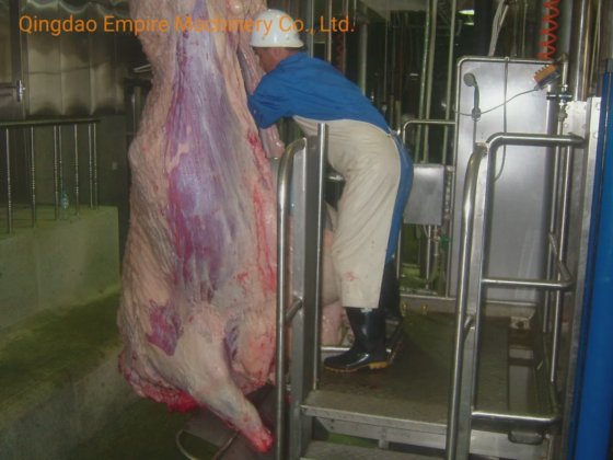 牛の屠殺機器、牛の屠体、胸部、皮剥ぎ、エレベーター、家畜、食肉処理場