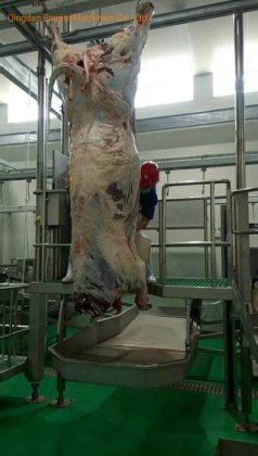 牛の屠殺機器、牛の屠体、胸部、皮剥ぎ、エレベーター、家畜、食肉処理場