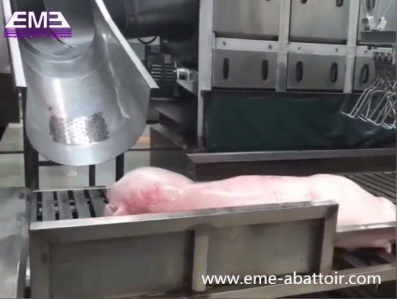 用于屠宰场设备的优质不锈钢滑槽式生猪屠宰机