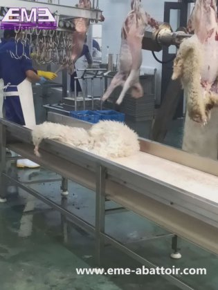 羊皮ベルトコンベヤー機械、ヤギ肉処理ライン用の屠殺設備