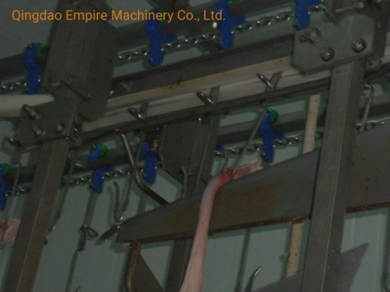 家禽屠殺場用の carcass 荷降ろし装置