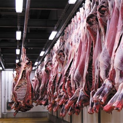 优质供应商 Eme 生产牛胴体手动输送轨道牛屠宰加工线 Abattoir Equipment