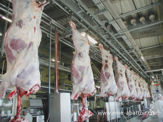 优质供应商 Eme 生产牛胴体手动输送轨道牛屠宰加工线 Abattoir Equipment