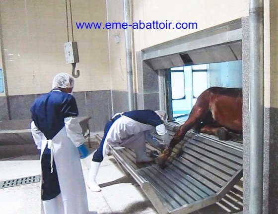 牛の屠殺場用の家畜死体収集グリル