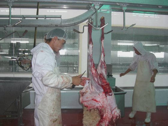 用于屠宰场设备的牲畜胴体加工输送屠宰场机器