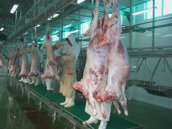 用于屠宰场设备的牲畜胴体加工输送屠宰场机器