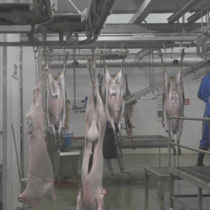 屠殺場用アクセサリー機器 共通吊りフック 牛 羊 豚