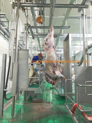 牛用屠殺設備の気動式真空吸引システム