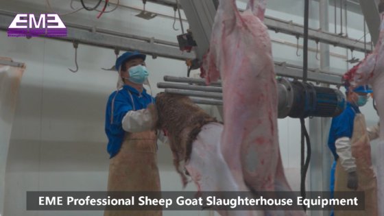 出厂价 斜坡式气动绵羊/山羊拉皮机 用于屠宰场的绵羊屠宰机械设备