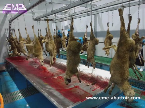 食品机械屠宰设计工具 用于肉类加工生产线的屠宰场机械屠宰设备