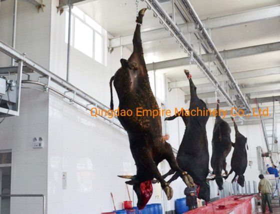 用于牲畜屠宰场的 Eme 牛肉屠宰机 牛只放血枷锁屠宰场设备