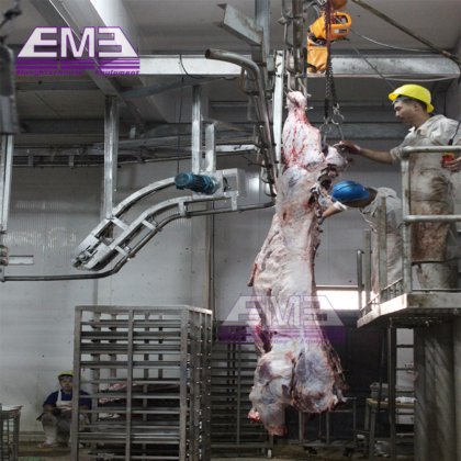 用于牲畜屠宰场的 Eme 牛肉屠宰机 牛只放血枷锁屠宰场设备