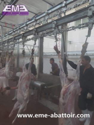 工場供給家畜屠殺場用具 羊 山羊 子羊 皮引き