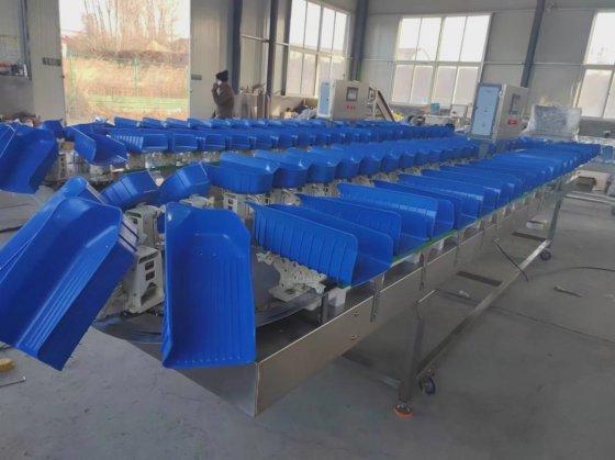 用于屠宰场的全自动鸡鸭家禽重量分级秤加工机