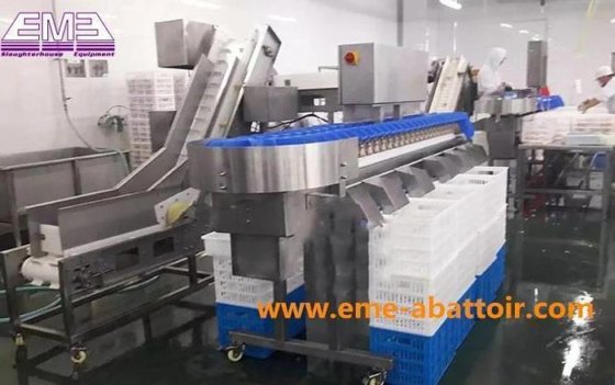 自動鶏肉屠殺場 骨なし自動選別スケール 屠殺機器 鶏肉屠殺ライン