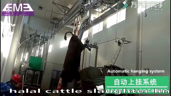 200 牛の頭部屠殺機械 ハラール ムスリム用屠殺ボックス スラッターハウス用