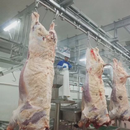 清真食品牛屠宰设备 用于牛屠宰场的气动腌制机